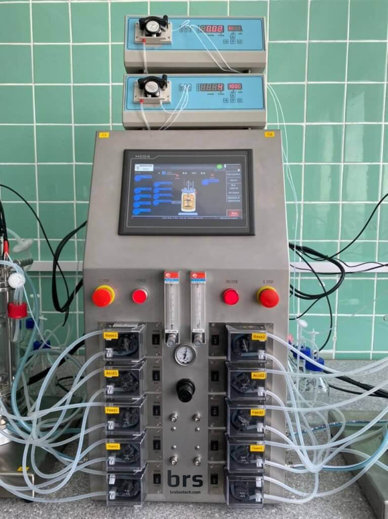 Lab bioreactor