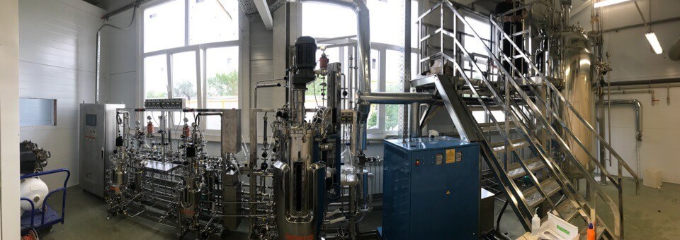 Production of enzymes