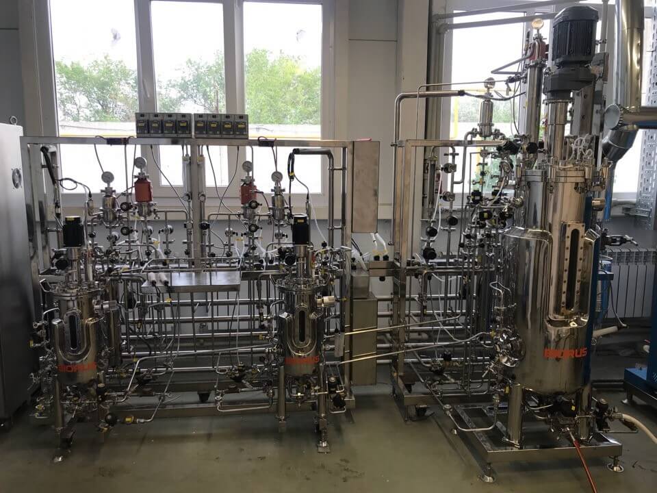 Production of enzymes