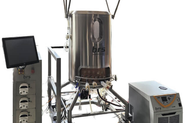image 2 (1)