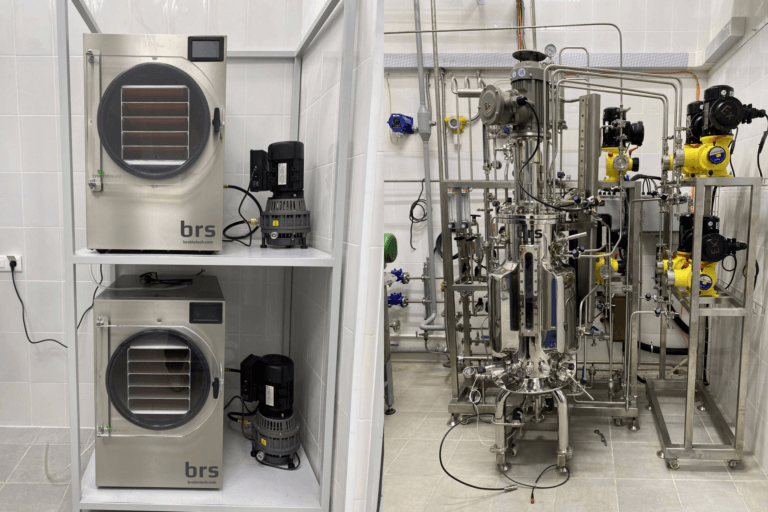 Explosion proof 50 liters bioreactor with freeze dryers