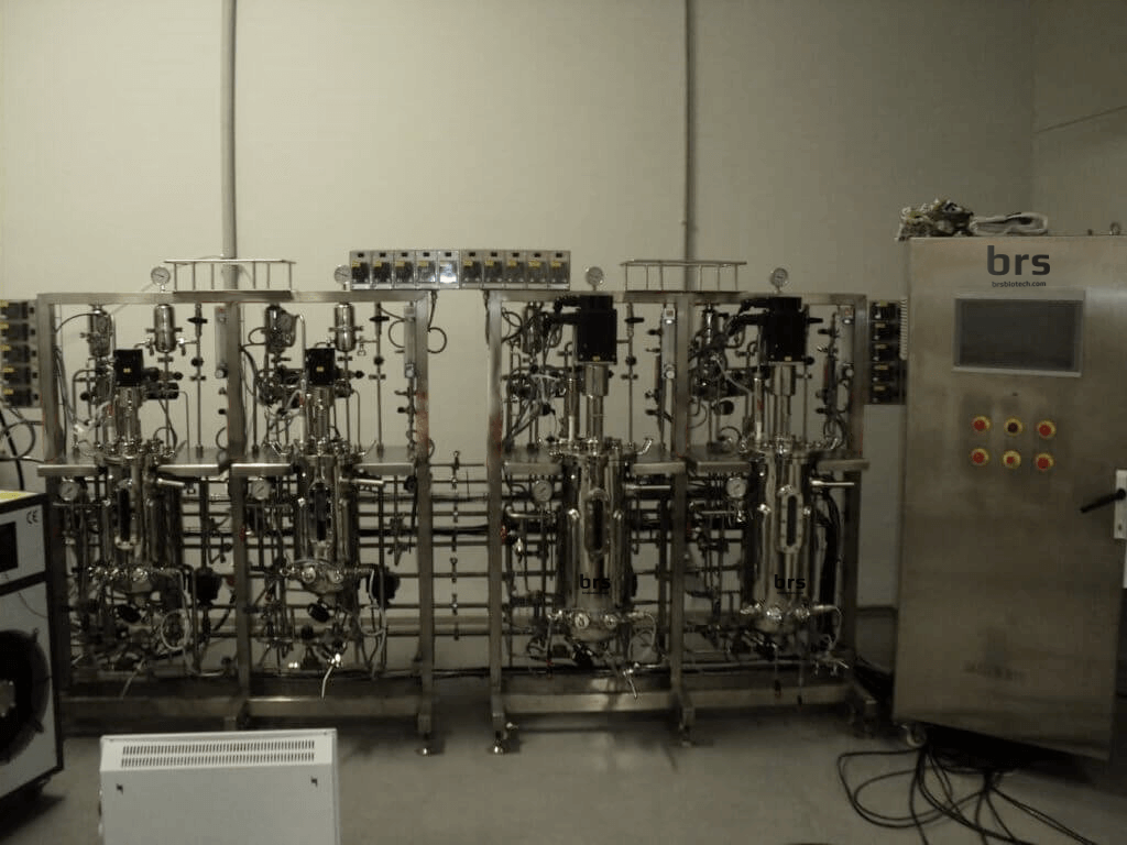 mikrobiologisk syntes