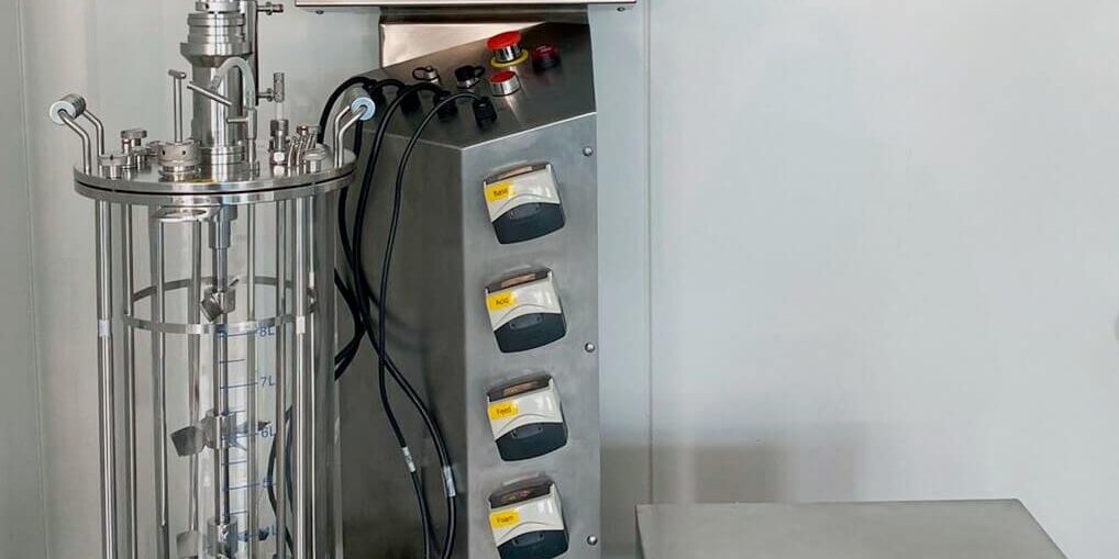 Autoclavable bioreactor 10 L with a gas mixing station
