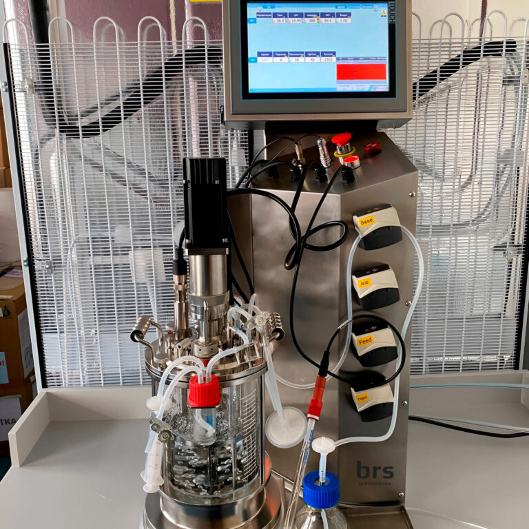 Laboratorieglasbioreaktor 3L