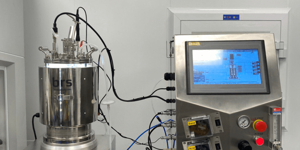 Glass photobioreactor 5L