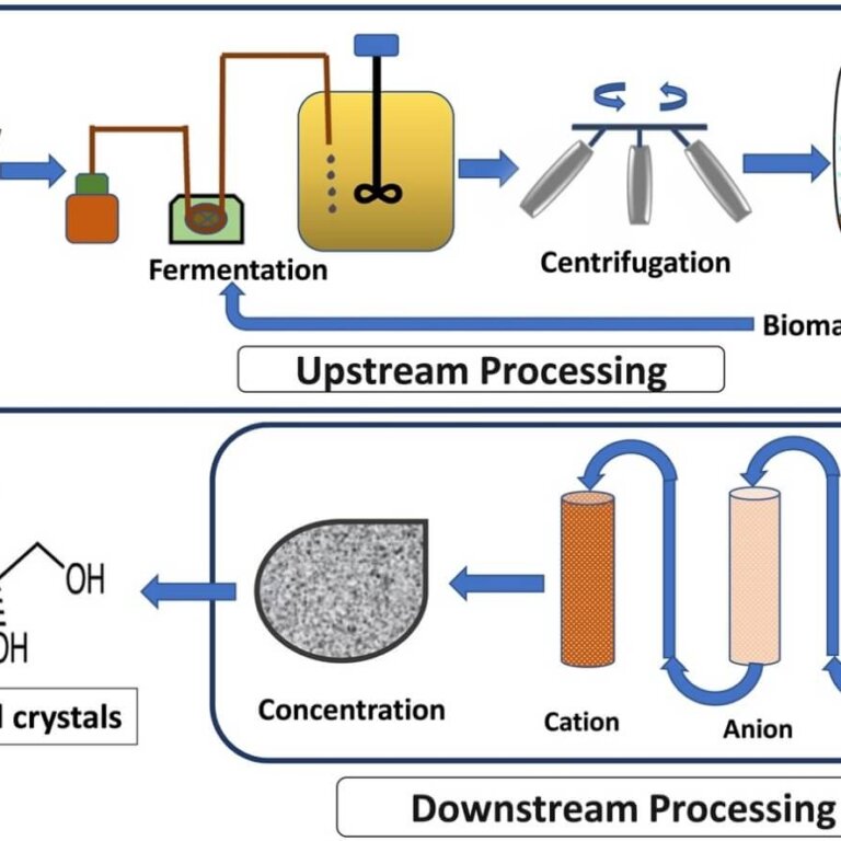 Production of Erythritol