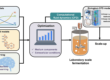 fermentation metabolism