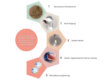 food-fermentation-agents