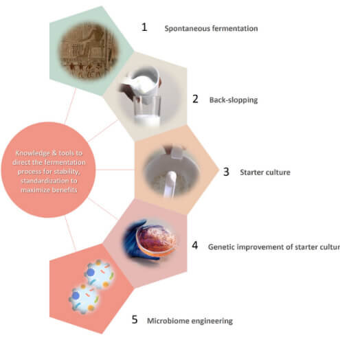 food-fermentation-agents