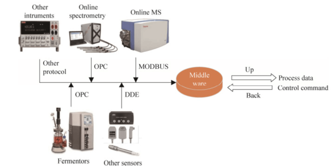 microbial-fermentation-processes2 microbial-fermentation-processes