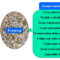fermentation-foam-control